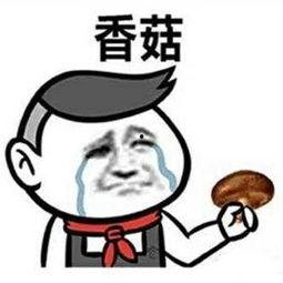 安全落地的图表情包,图表情包诠释生活小确幸