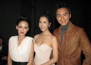 娱乐圈女明星合照,美丽瞬间汇聚一堂